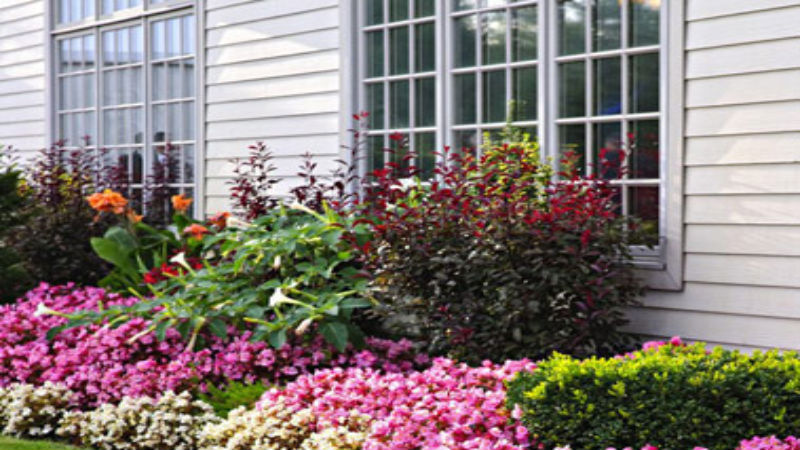 Rely On Professional Siding Repair in Lawrence Kansas