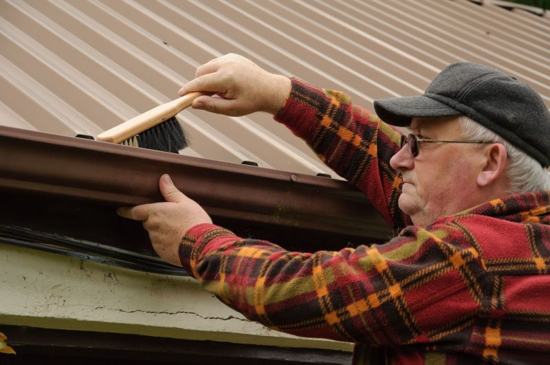 The Importance of Securing Proper Leaf Protection Services