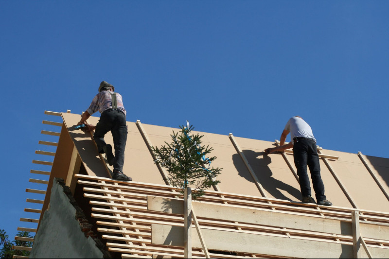 3 Reasons to Consider a Professional Roofing Company in Meridian, ID